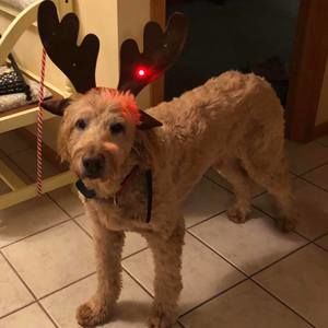 Meet your Posher, Jane